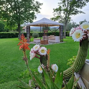 Lo Stucchio Monterotondo (Tuscany)